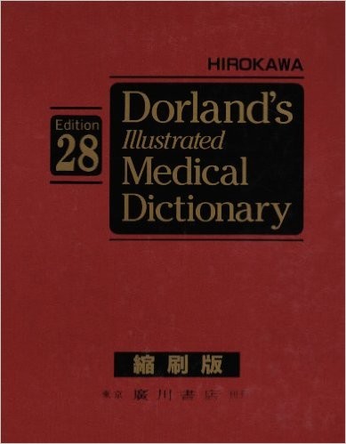 ドーランド図説医学大辞典［第28版］ 11